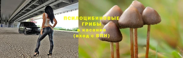 трава Кинешма