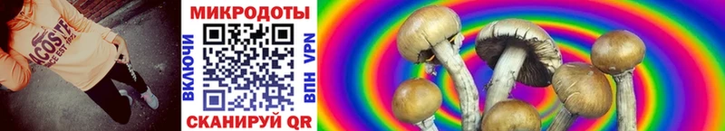 Купить  Бикин  Галлюциногенные грибы мухоморы 