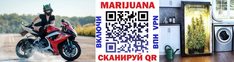 Конопля SATIVA & INDICA  Купить где  Бикин 